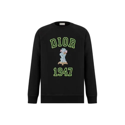 DIOR SS24 Свитшот Мужской Черный