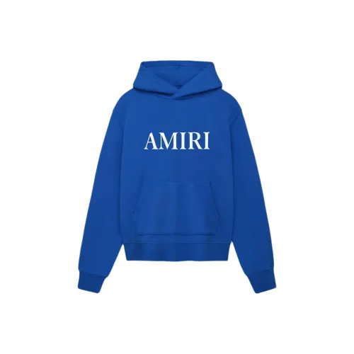 AMIRI FW24 Толстовка Мужской Синий