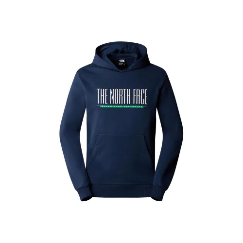 The North Face TNF EST 1966 Hoodie Hoodie Мужской Синий
