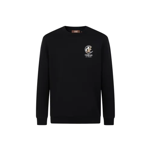 Cavalli Class Мужские Свитшоты