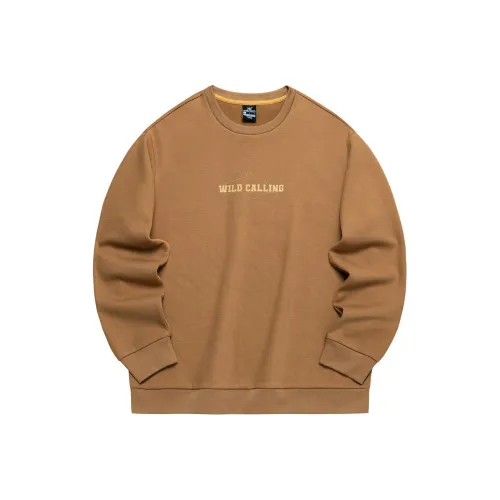 361° Свитшот Мужской Squirrel Коричневый