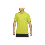 Кактус Зеленый