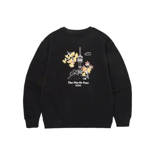 THE NORTH FACE Толстовка Мужская Черная