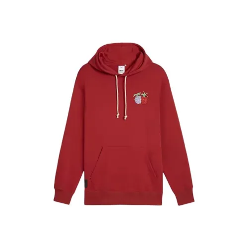 PUMA One Piece Hoodie Мужской Бордовый
