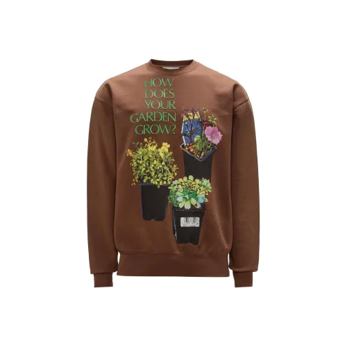 JW Anderson Шоколад Мужские Толстовки