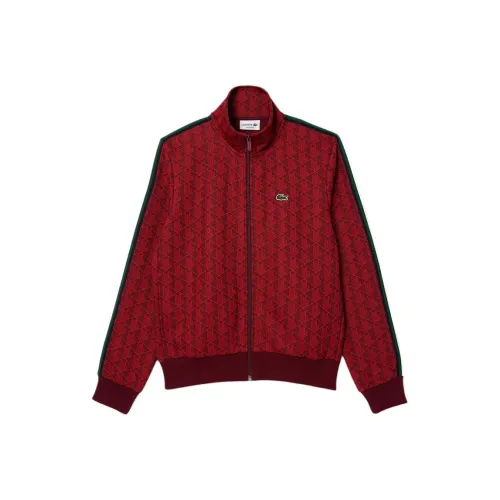LACOSTE Collaboration Бордо Красный Мужские Свитшоты