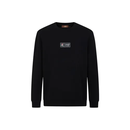 Cavalli Class Мужские Свитшоты