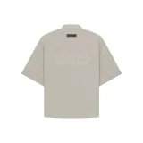 Серый тюлень