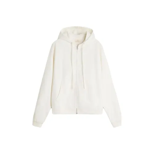 ZARA Морозный Белый Мужские Свитшоты