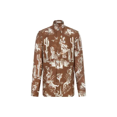DIOR Коричневые Мужские Рубашки