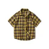 Жёлтый и кофейный (176)