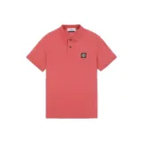 Цвет цикламен