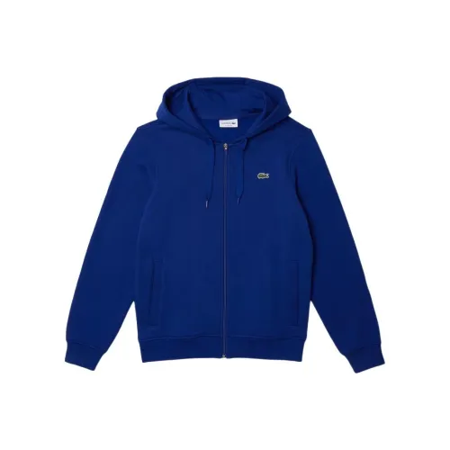 LACOSTE Collaboration Мужские Синие Свитшоты