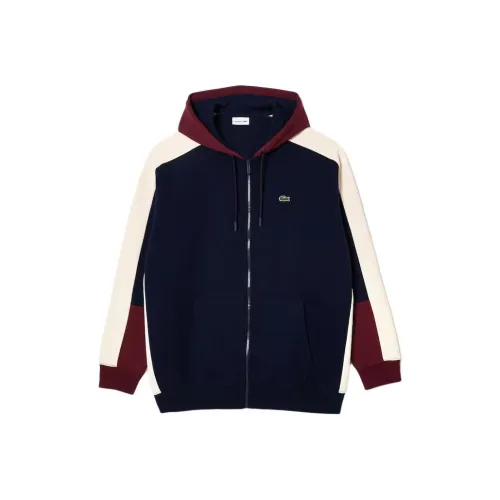 LACOSTE Толстовка Мужской Морской Синий Бордо Белый