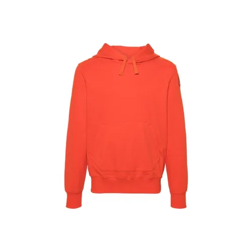 PARAJUMPERS SS24 Свитшот Мужской Морковный Оранжевый