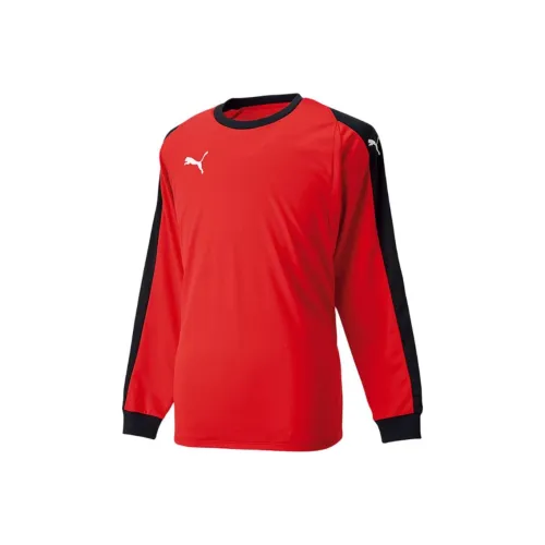 PUMA LIGA GK Red Men's Hoodies