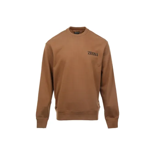 Ermenegildo Zegna Кофе Мужские Толстовки