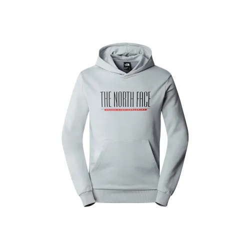 The North Face TNF EST 1966 Hoodie Hoodie Men's Gray