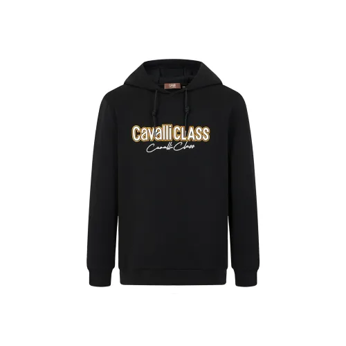 Cavalli Class Мужские Свитшоты