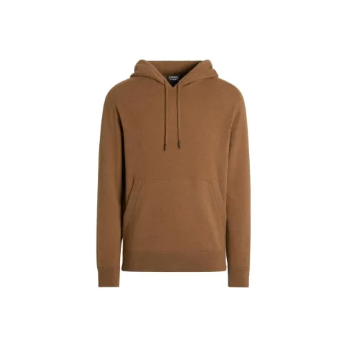 Ermenegildo Zegna Коричневый Мужской Свитшот