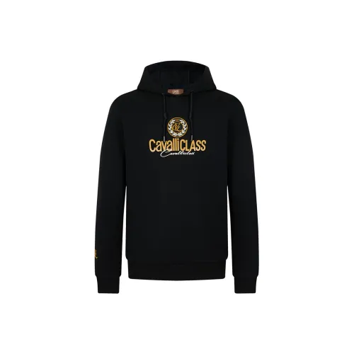 Cavalli Class Мужские Свитшоты