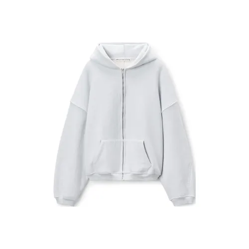 Alexander Wang FW24 Свитшот Мужской Светло-Серый