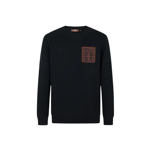 Cavalli Class Толстовка Мужской Черный