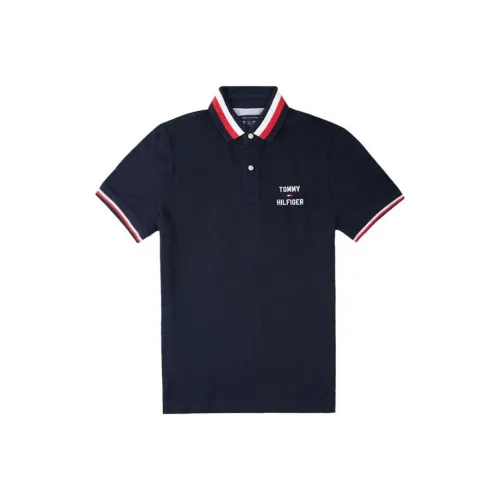 Tommy Hilfiger Polo Мужское Темно-синий