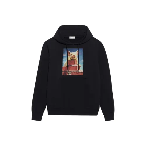 Sandro Мужские черные свитшоты