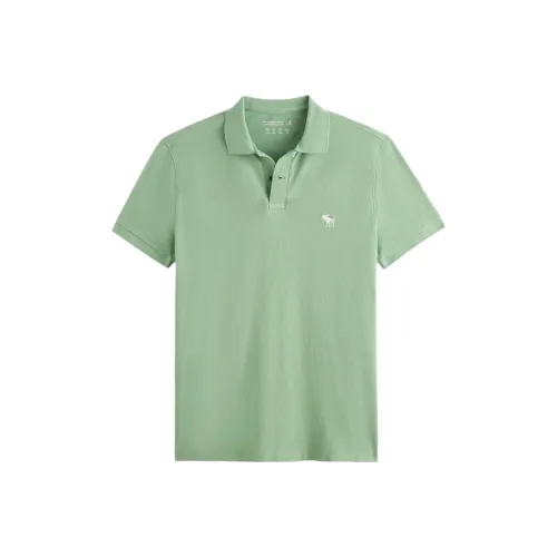 Abercrombie＆Fitch Поло Мужское Мятно-Зеленое