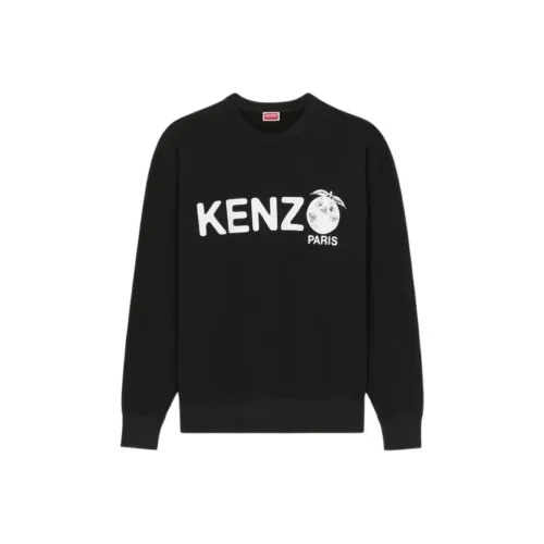 KENZO SS24 Свитшот Мужской Черный