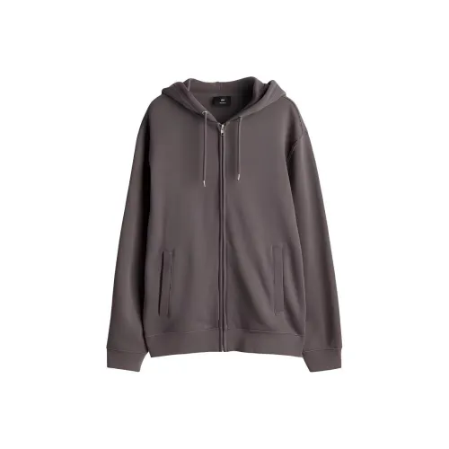 H&M Темно-серый Мужской Свитшот