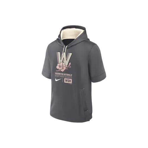 Nike MLB Коллаборация Washington Nationals Городской Connect Толстовка Washington Nationals Мужской Серый