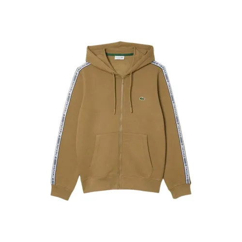 LACOSTE Collaboration Коричневый Мужской Свитшот