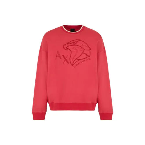 ARMANI EXCHANGE SS24 Свитшот Мужской