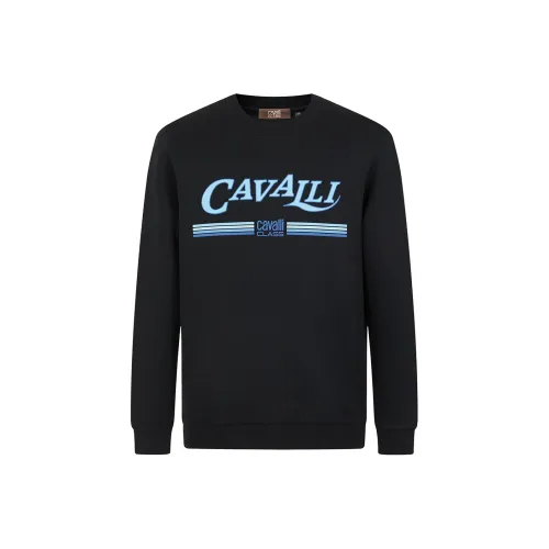 Cavalli Class Мужские Свитшоты
