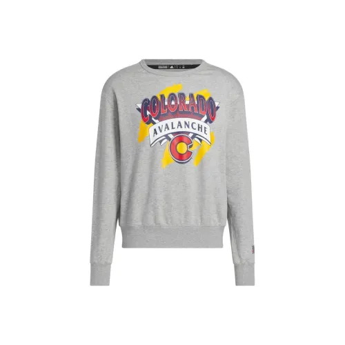 Adidas Серый Мужской Свитшот