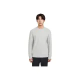 Овсяный серый