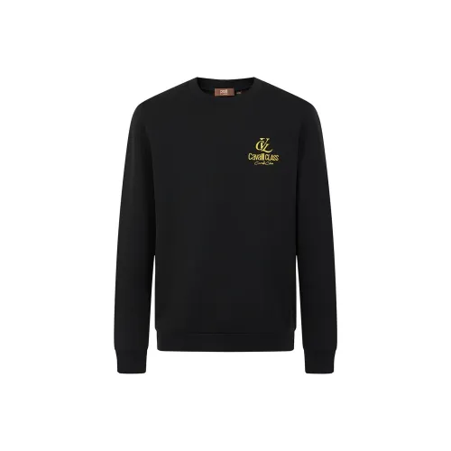 Cavalli Class Мужские Свитшоты