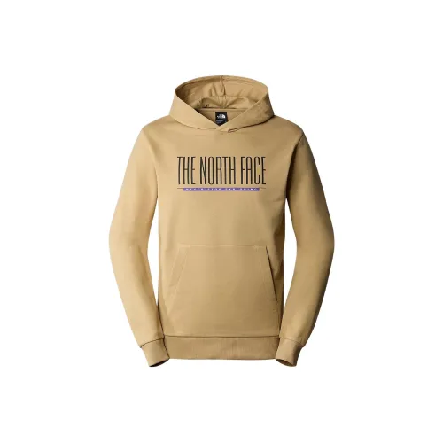 The North Face TNF EST 1966 Hoodie Sweatshirt Men's Khaki