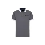 Железно-серый