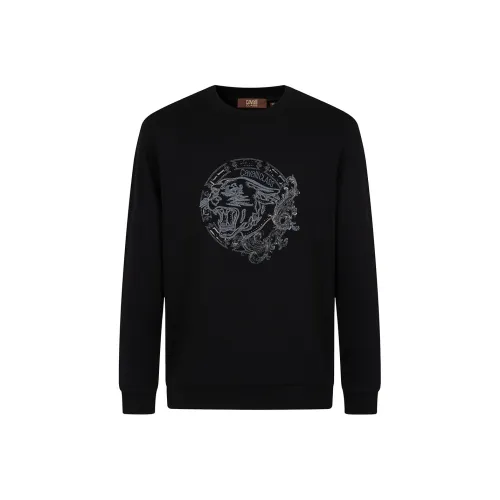 Cavalli Class Мужские Свитшоты
