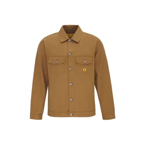 Кошка Светлый хаки Унисекс Рубашки