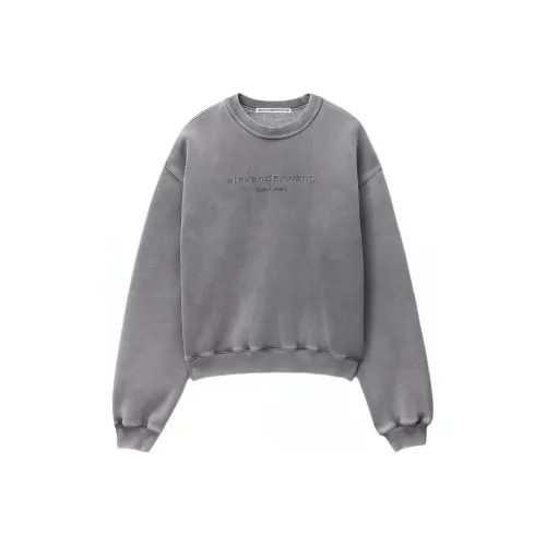 Alexander Wang SS24 Свитшот Унисекс Серый
