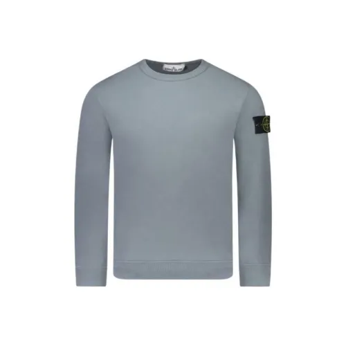 STONE ISLAND Толстовка Мужская Серого цвета