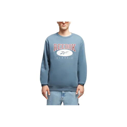 Reebok Светло-синий Унисекс Свитшоты