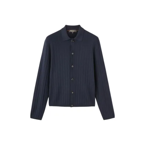 Loro Piana Мужская поло синего цвета