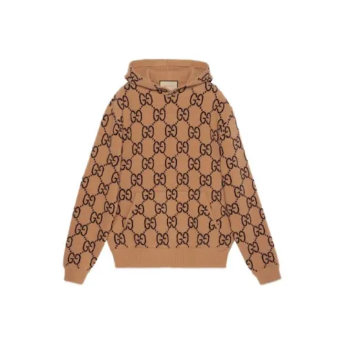 GUCCI SS24 Свитшот Мужской Хаки Коричневый