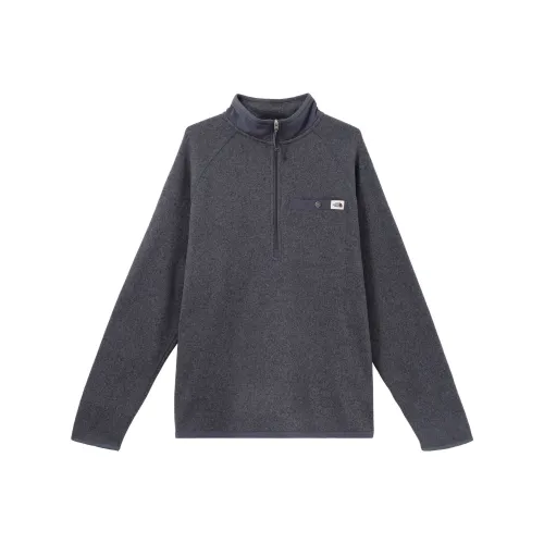 THE NORTH FACE Толстовка Мужская Серого цвета