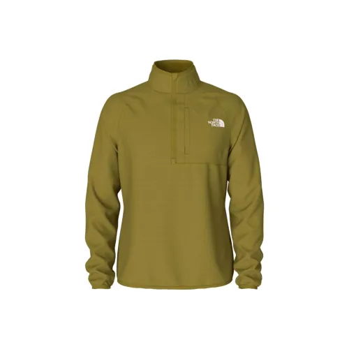 THE NORTH FACE Зеленый Мужской Свитшот